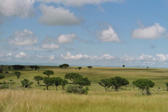 MurchisonFalls05