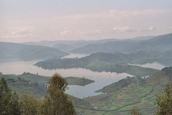 bunyonyi_12