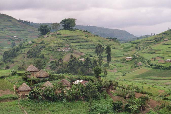 bunyonyi_15