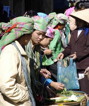 sapa_a_DSC_0032