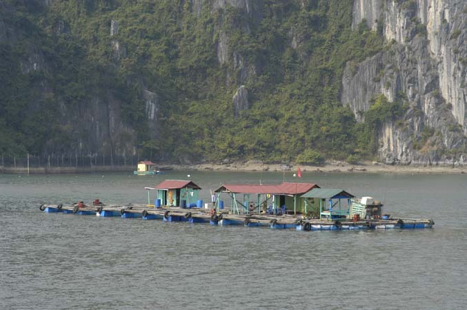 HalongBay_DSC_0099