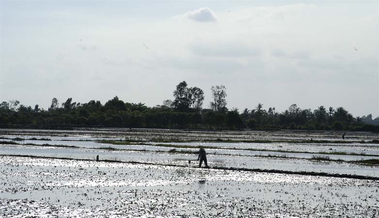 MekongDelta_DSC_0225