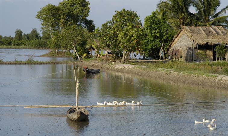 MekongDelta_DSC_0231