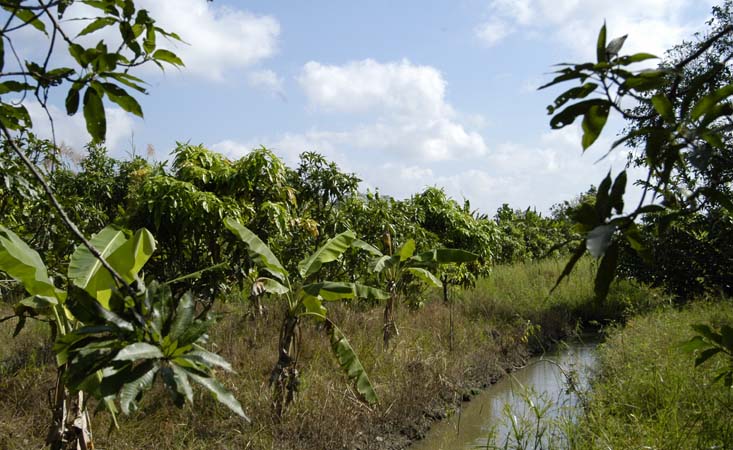 MekongDelta_DSC_0300